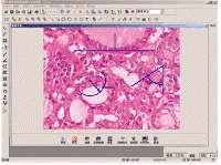 1649862843933695.png 1.png