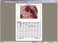 1649862855136908.png 3.png